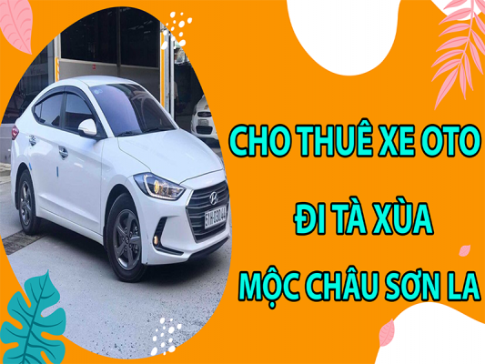 cho-thue-xe-oto-di-ta-xua-moc-chau-son-la5